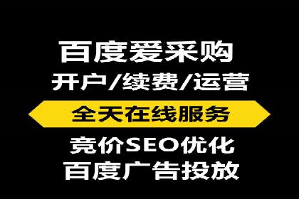 百度优化推广案例：打造行业领先品牌